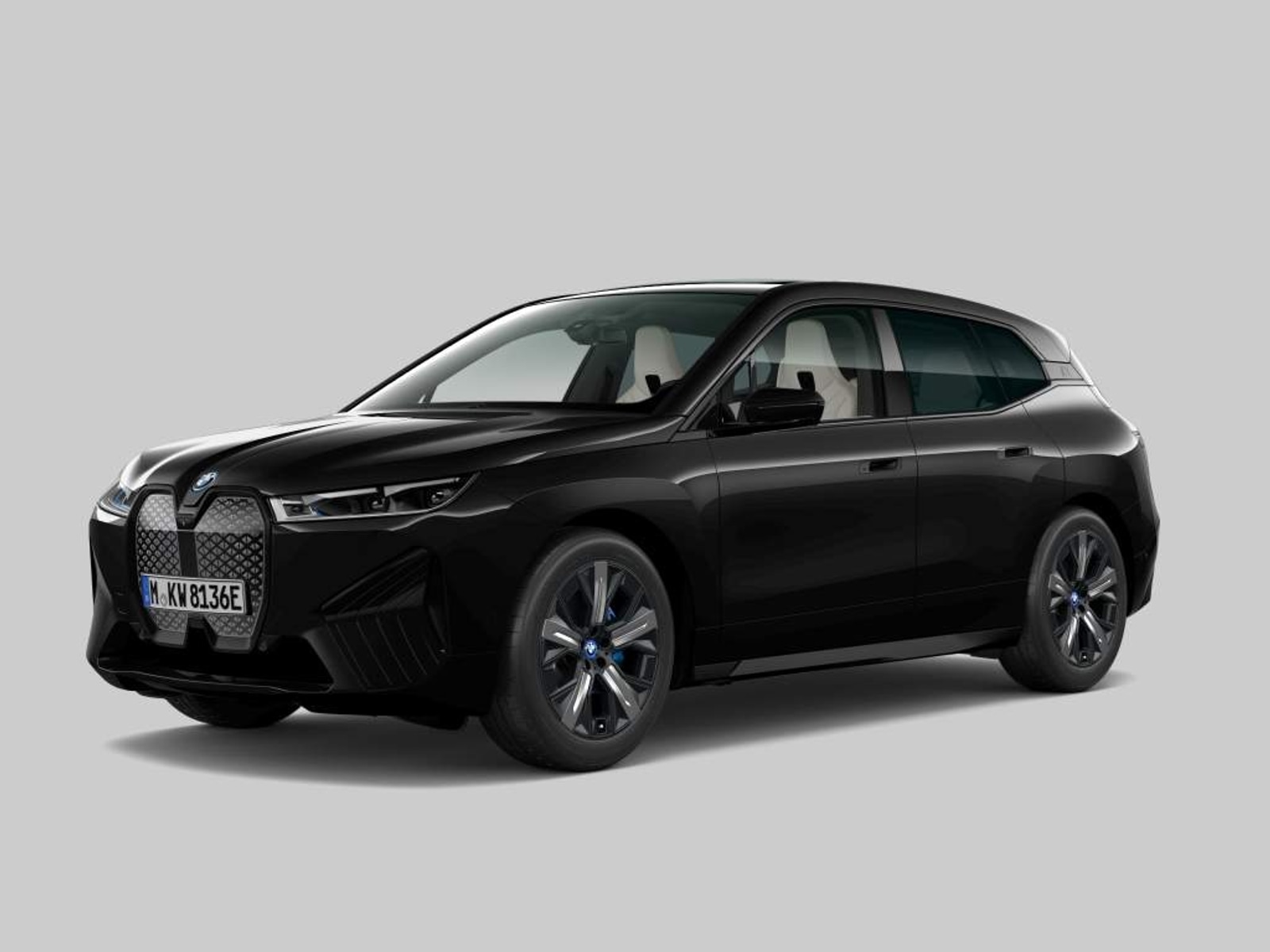 BMW iX xDrive40 Skylounge | CoPilot | Elektr. Trekhaak | Harman Kardon
