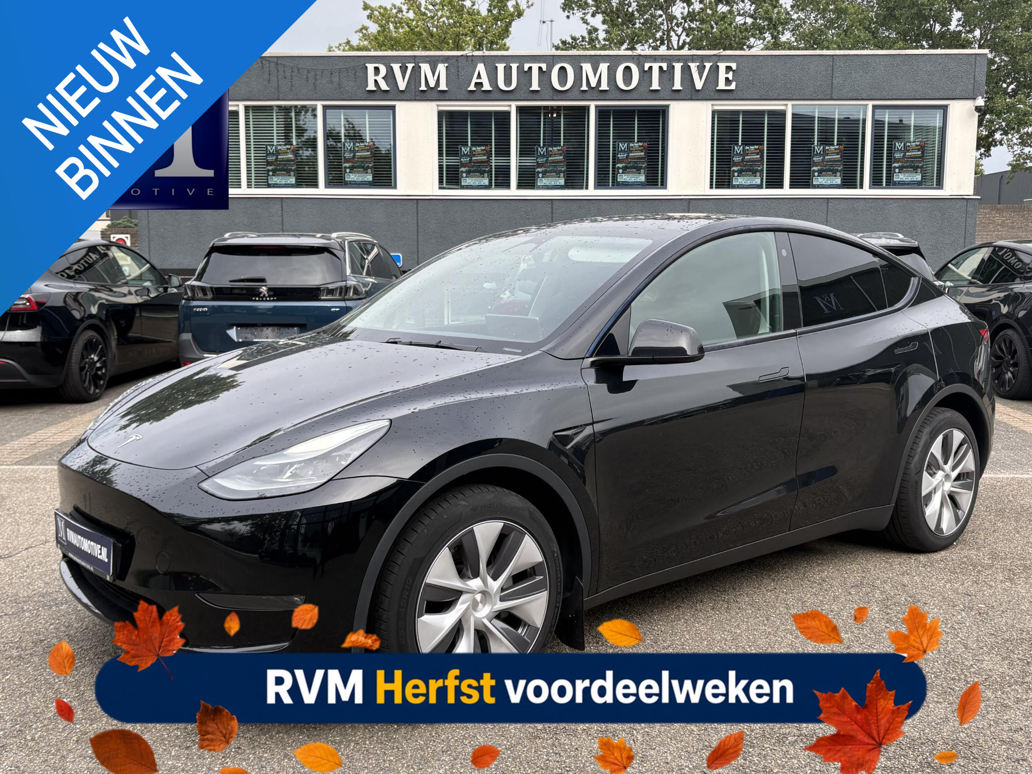 Tesla Model Y Long Range AWD 75 kWh