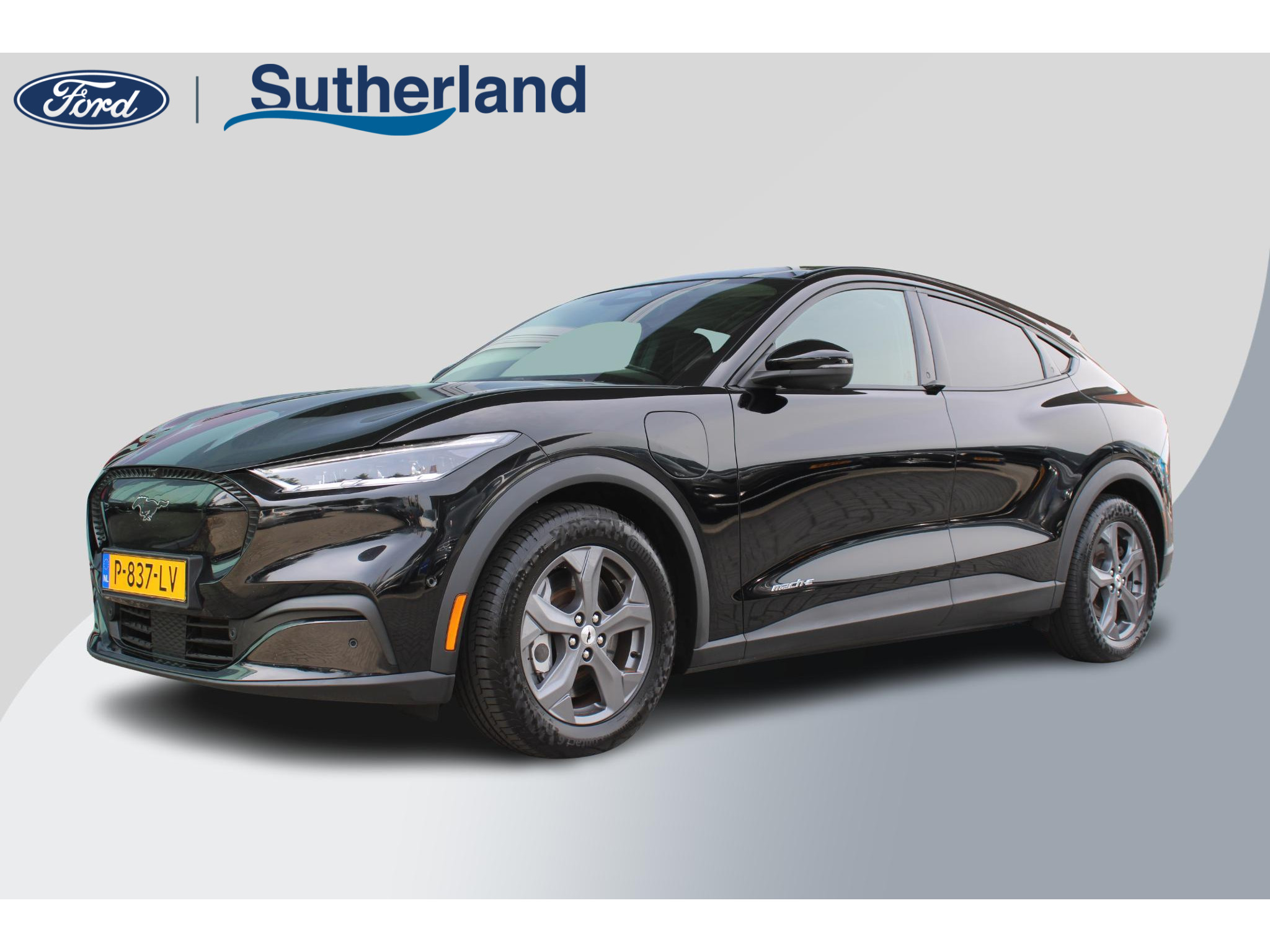 Ford Mustang Mach-E RWD 75 kWh