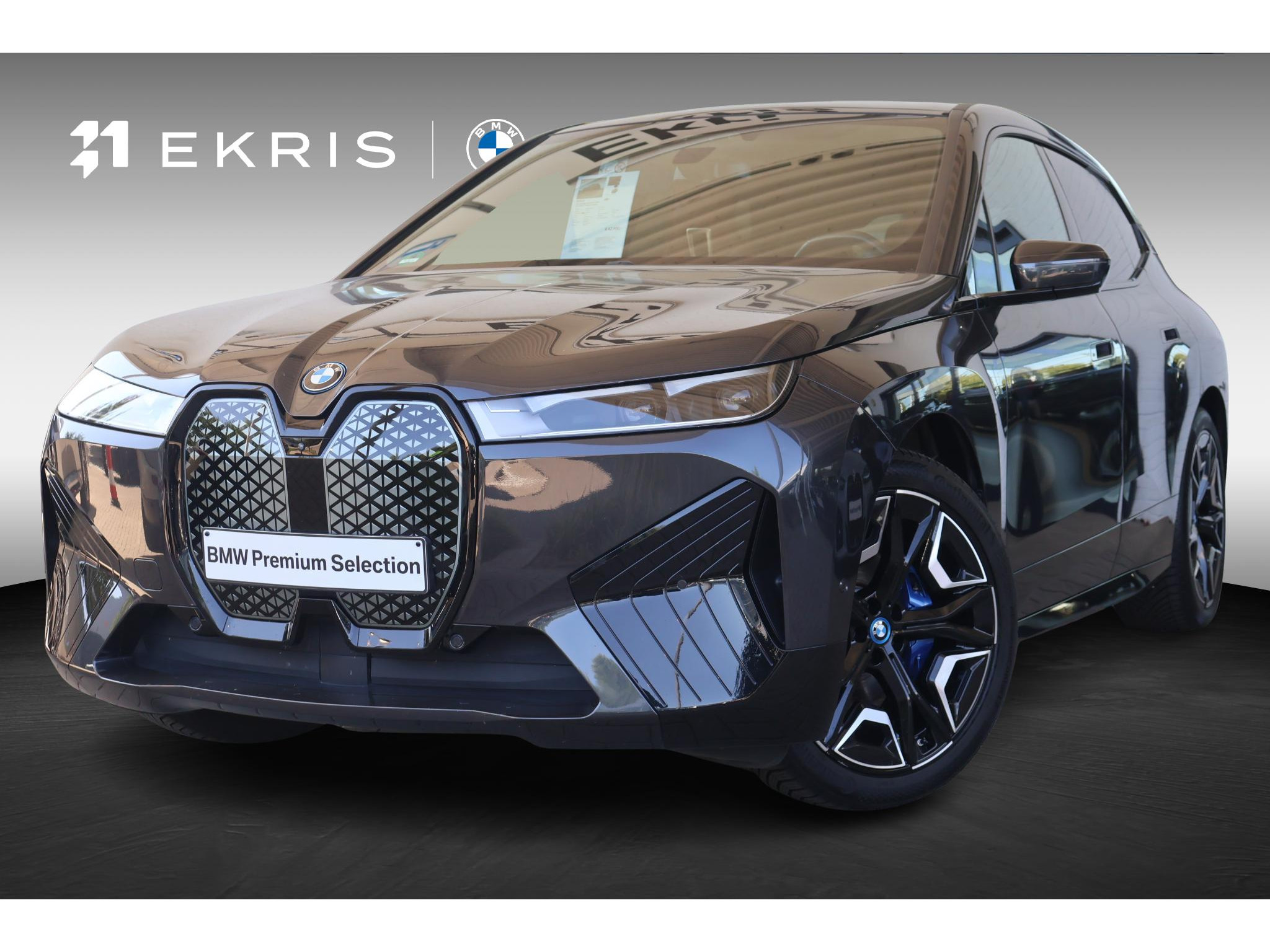 BMW iX xDrive40 High Executive 77 kWh