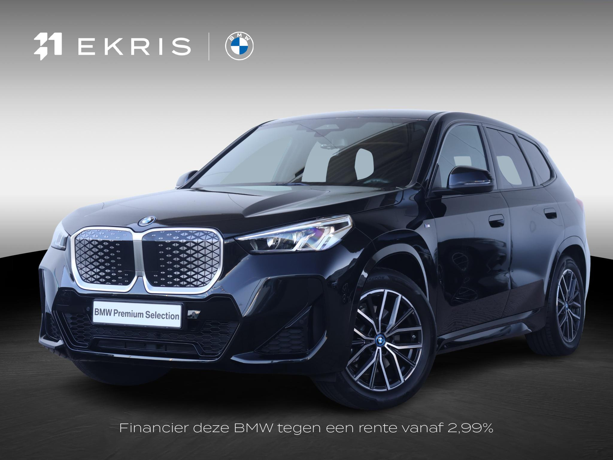 BMW iX1 xDrive30 67 kWh