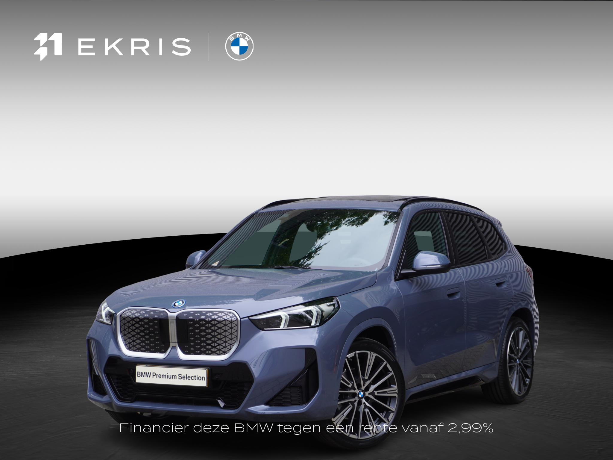 BMW iX1 eDrive20 67