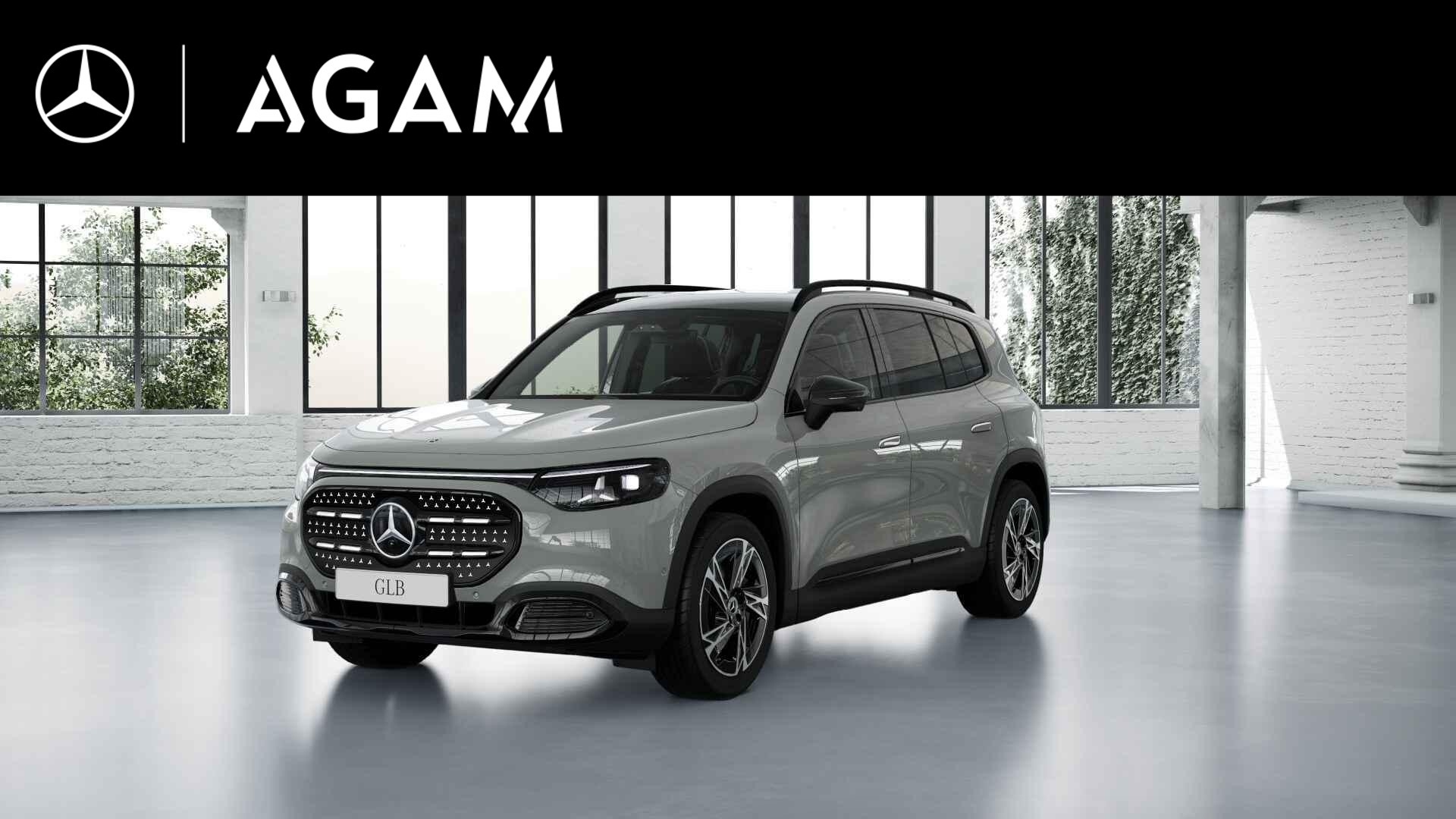 Mercedes-Benz GLB electric 250+ Business Solution Luxury 85.5 kWh