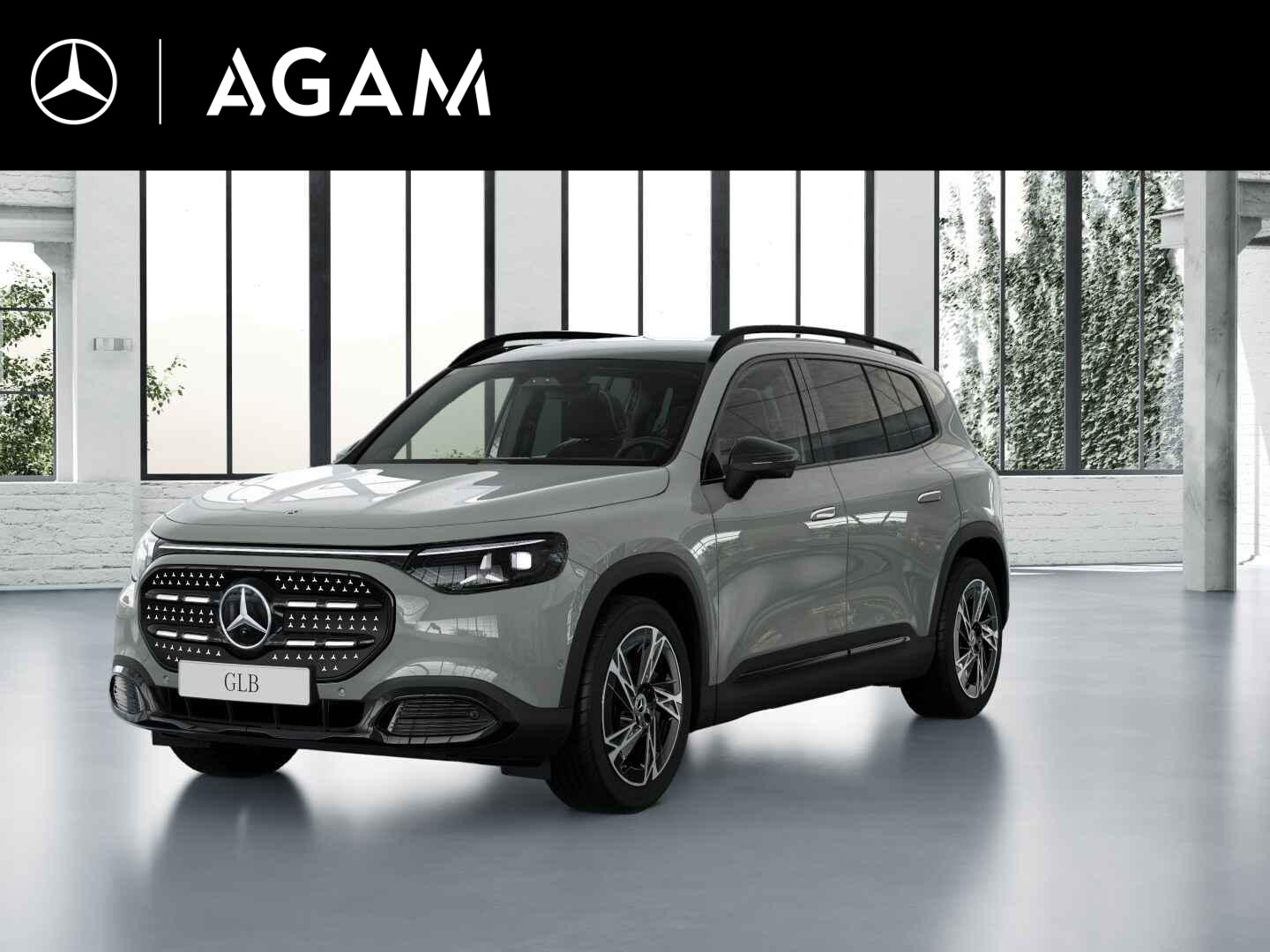 Mercedes-Benz GLB electric 250+ Business Solution Luxury 85.5 kWh
