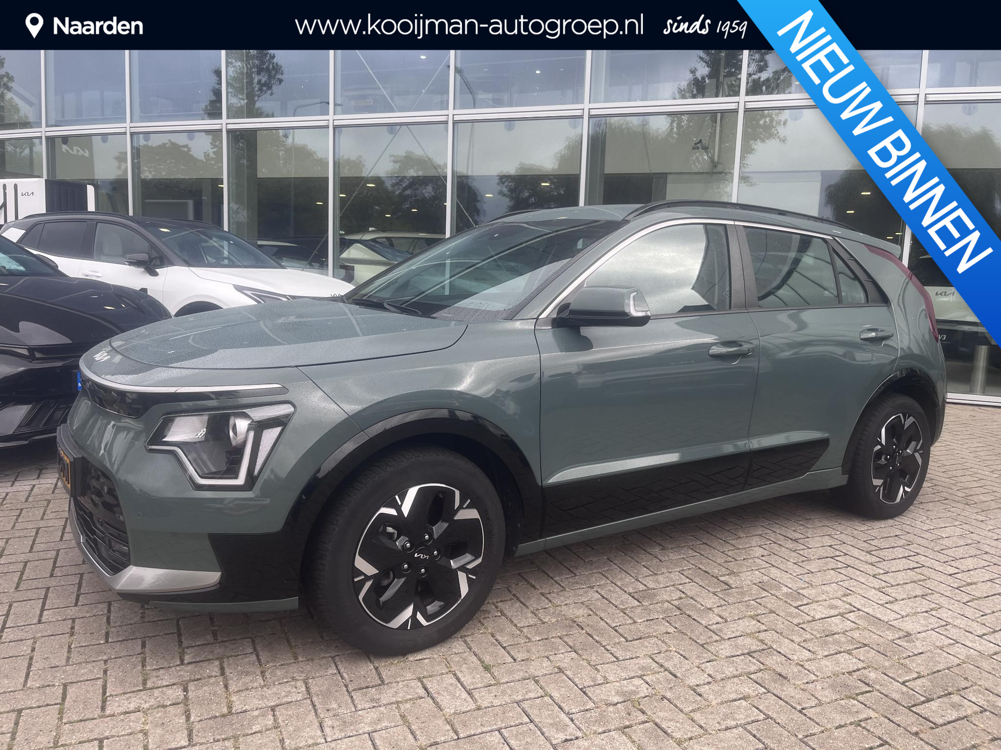 Kia Niro EV DynamicLine 64.8 kWh