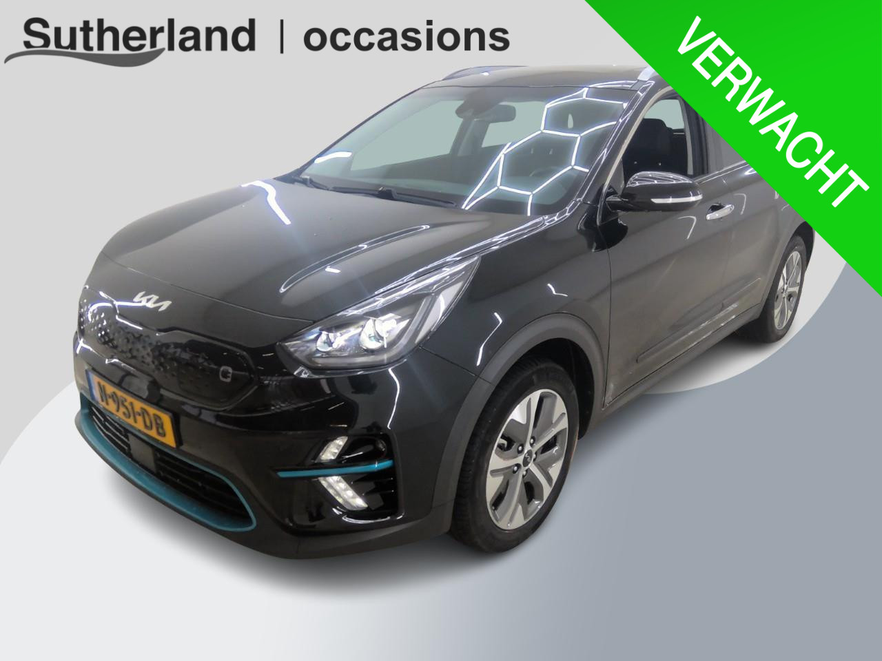 Kia e-Niro DynamicPlusLine 64 kWh