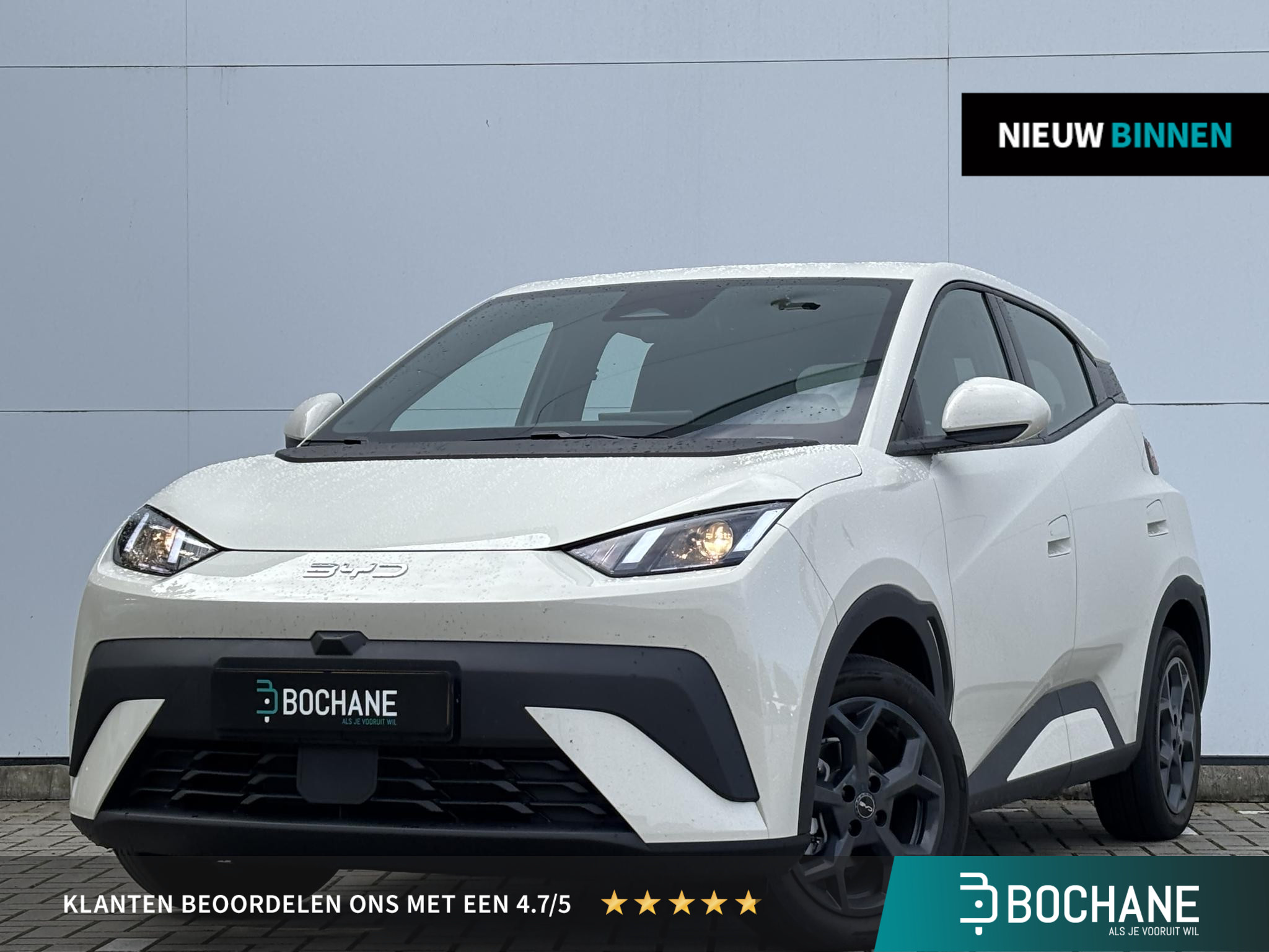 BYD DOLPHIN SURF Boost 43 kWh