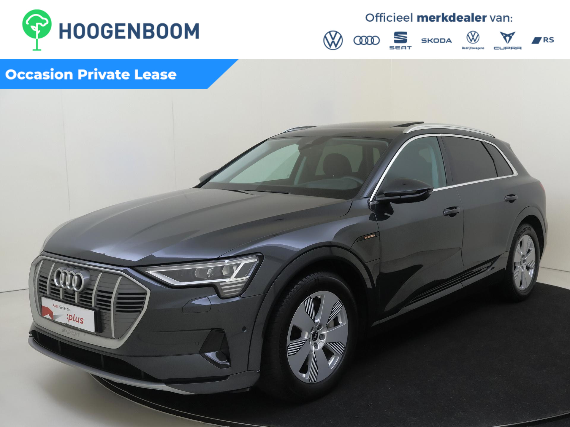 Audi e-tron 50 quattro Advanced edition Plus 71 kWh