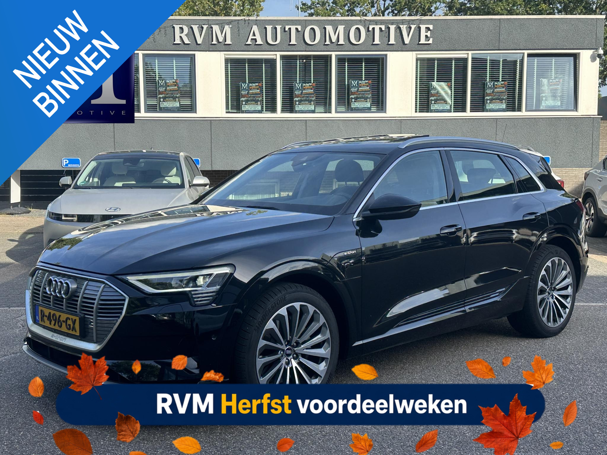 Audi e-tron 55 quattro Advanced edition Plus 95 kWh