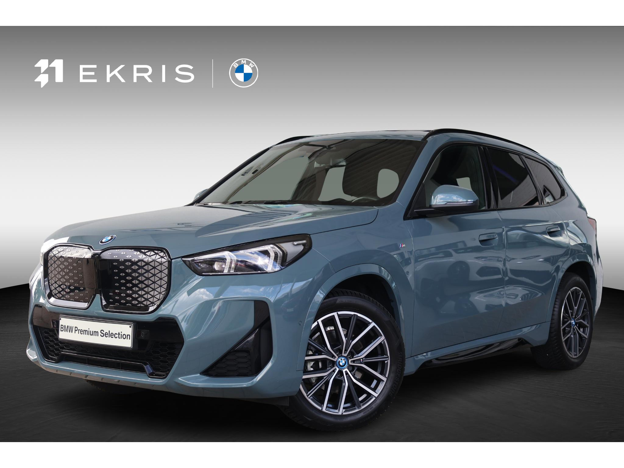BMW iX1 eDrive20 67 kWh