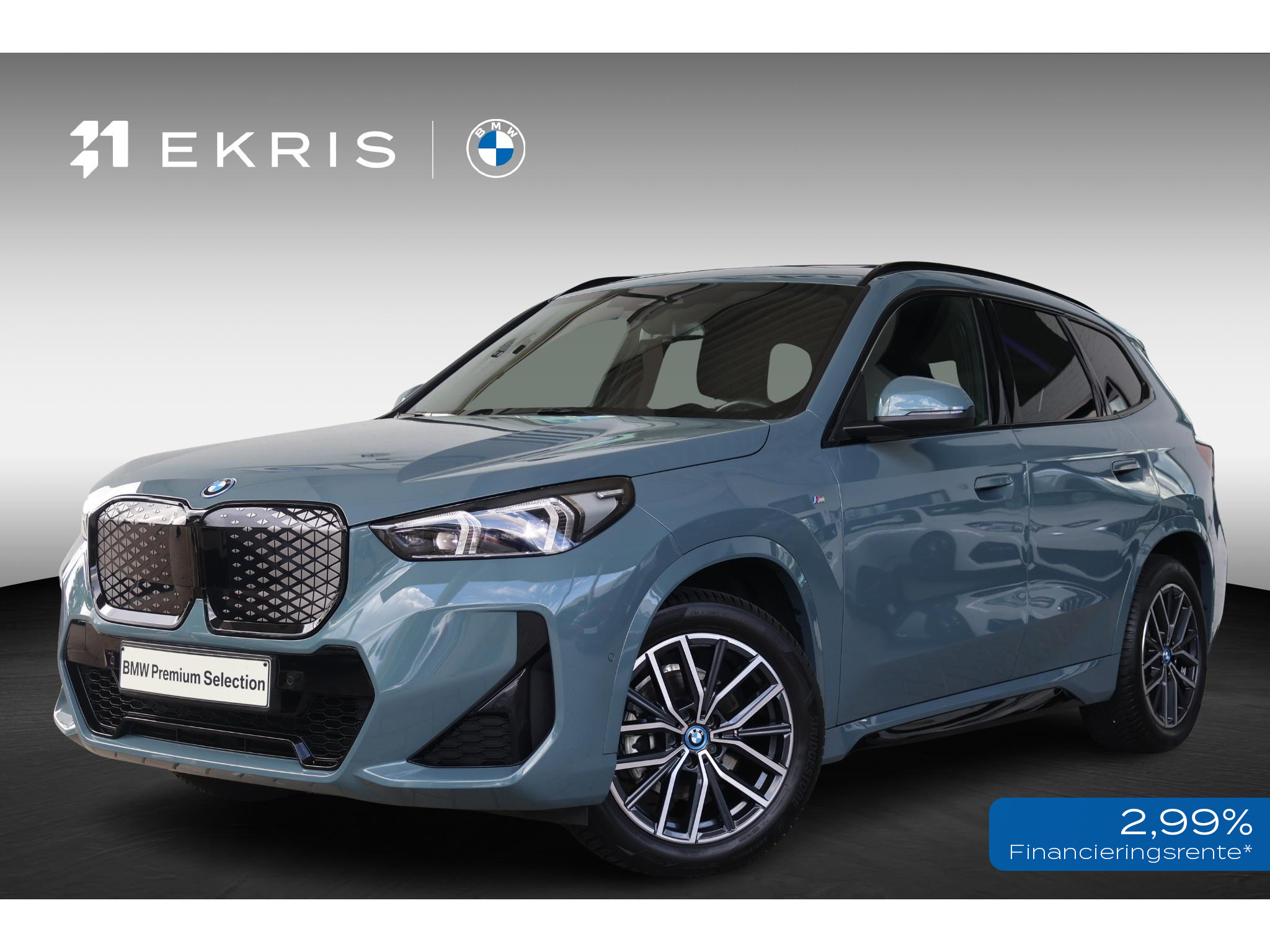 BMW iX1 eDrive20 67 kWh